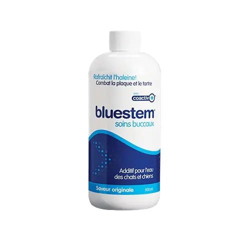 Bluestem Additif pour l'Eau Saveur Originale 500ml