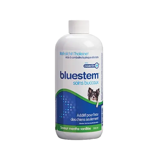 Bluestem Eau Additif pour l'Eau Saveur Menthe Vanillée pour Chien 500 ml