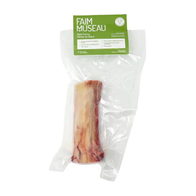 Faim Museau Moyen Fémur de Boeuf