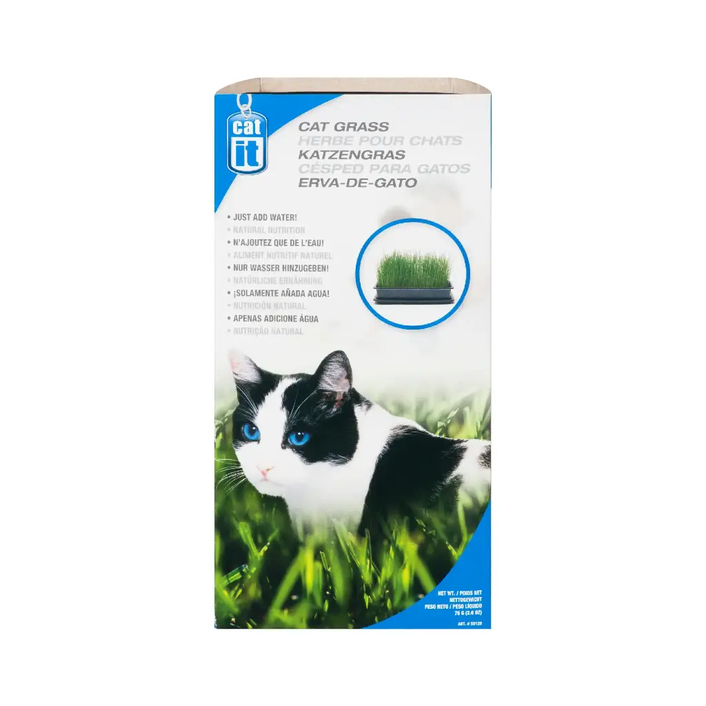 Catit Herbe Pour Chats 75g