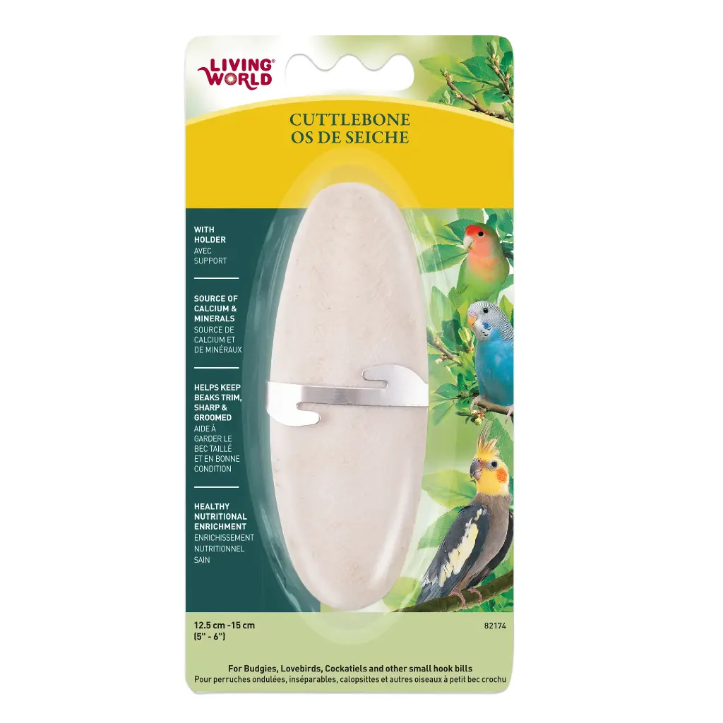 Living World Medium Cuttlebone 13.5 to 15 cm