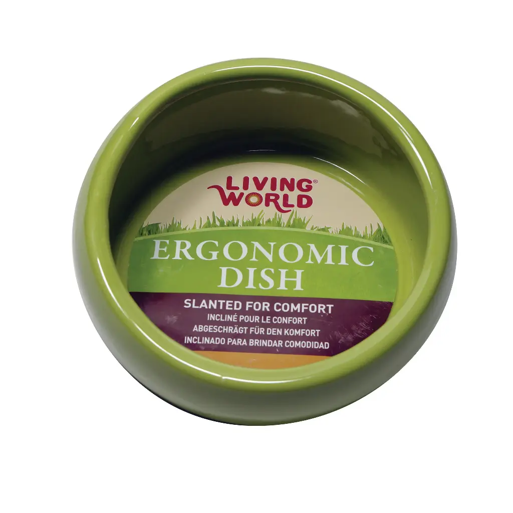 Living World Bol Ergonomique Grand 420ml (Vert)