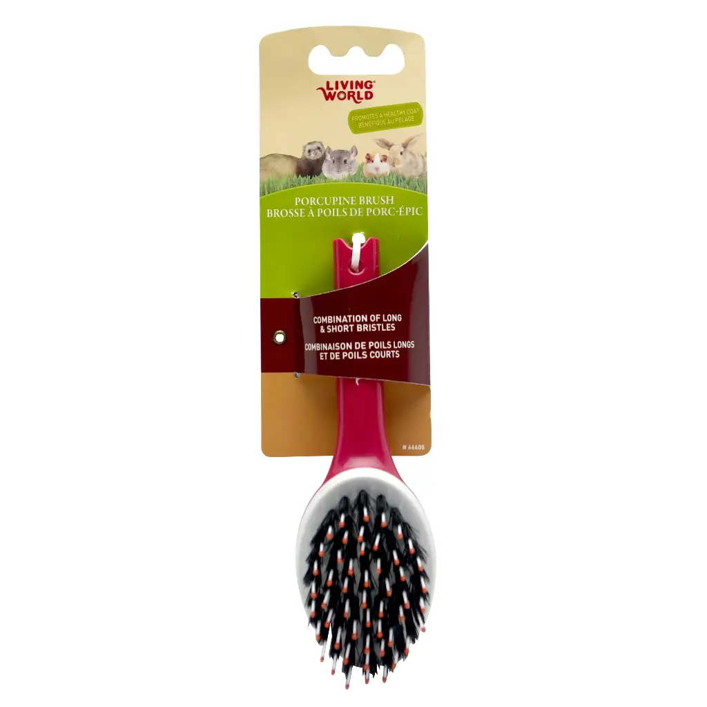 Living World Brosse à Poils de Porc-Épic