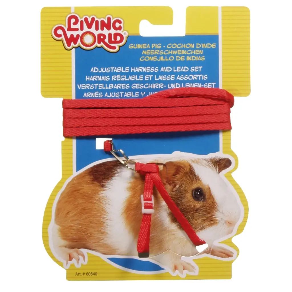 Living World Harnais pour Cochon d’Inde (Rouge)