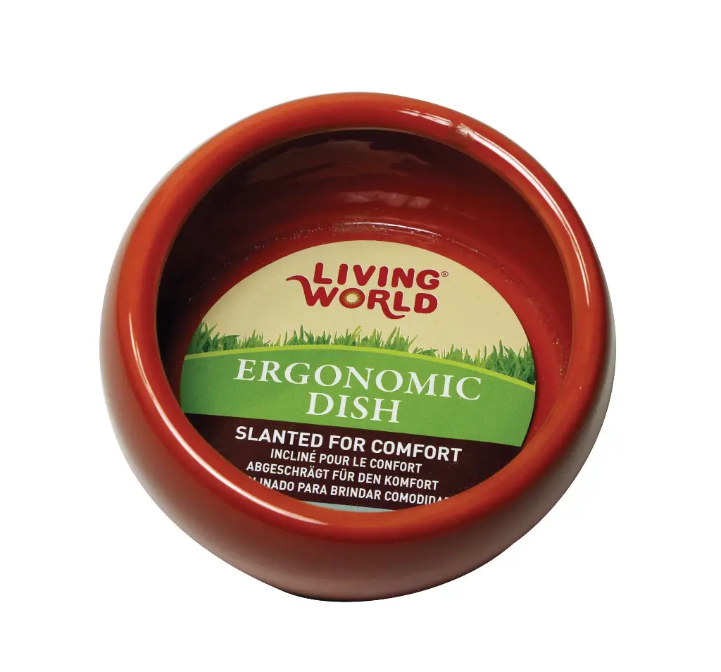 Living World Bol Ergonomique Grand 420ml (Brun)