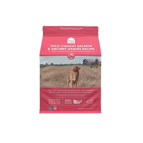 Open Farm Saumon Sauvage et Grains Anciens 10kg