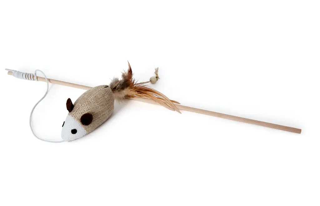 Bud'z Jouet Pour Chat - Canne à Pêche 40cm Et Souris 14cm