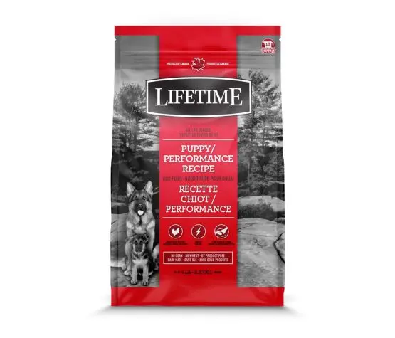 Trouw Nutrition Lifetime Chiot Performance Poulet et Avoine 5lbs / 2.27kg