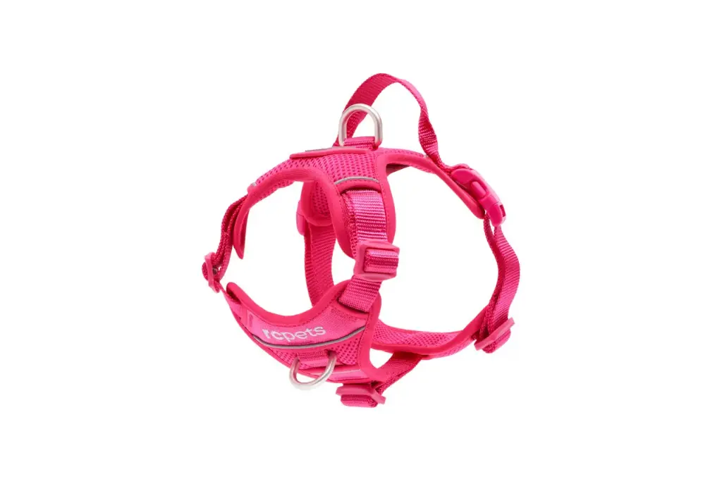 RC Pets Harnais de Contrôle Momentum Azalée G