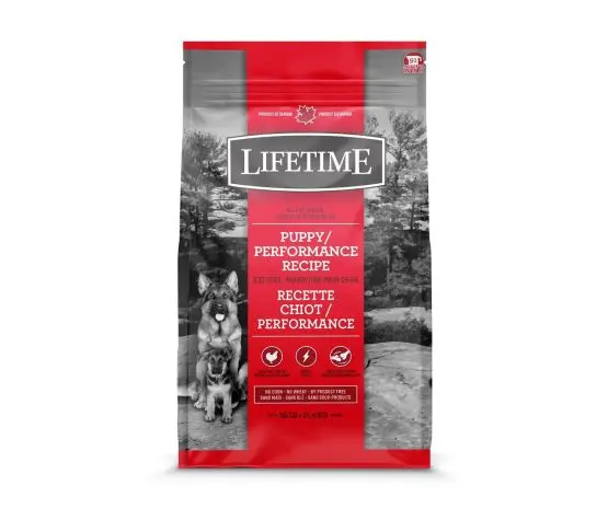 Trouw Nutrition Lifetime Chiot Performance Poulet et Avoine 25lbs / 11.4kg