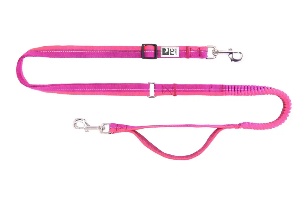 RC Pets Laisse Active Bunge Mûre/Azalée