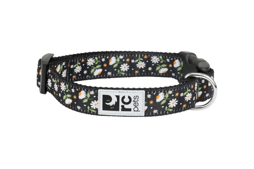 RC Pets Daisy Patterned Collar P 3/4