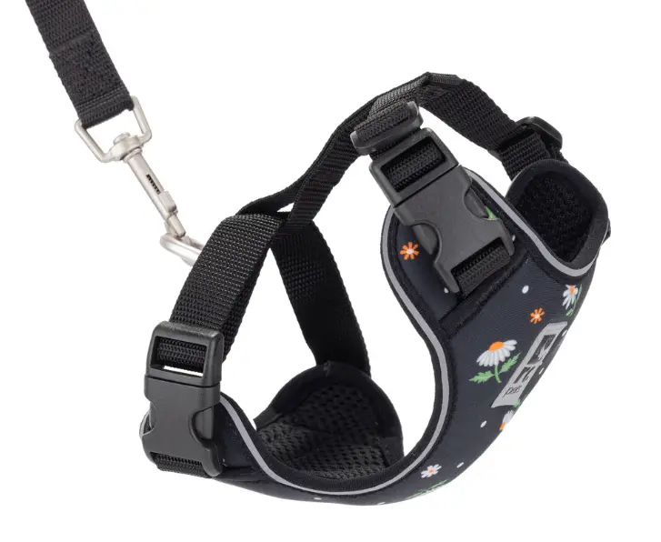 RC Pets Harnais Aventure Pour Chats Marguerites M