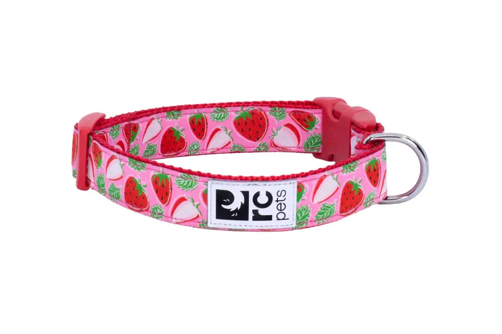 RC Pets Strawberry Pattern Collar M
