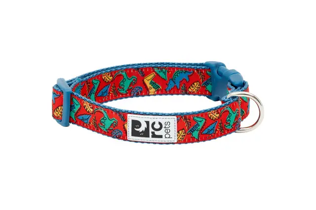 RC Pets Collier à Motif Traces De Dinos Enjoué G
