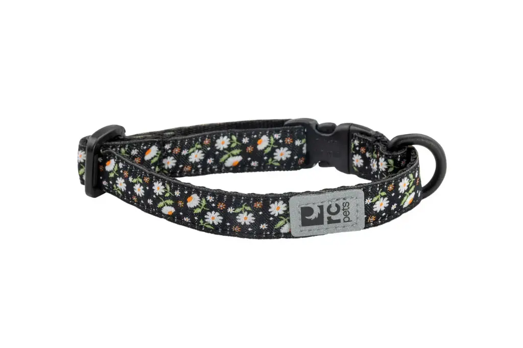 RC Pets Collier Sécuritaire Pour Chats Marguerites Taille Unique