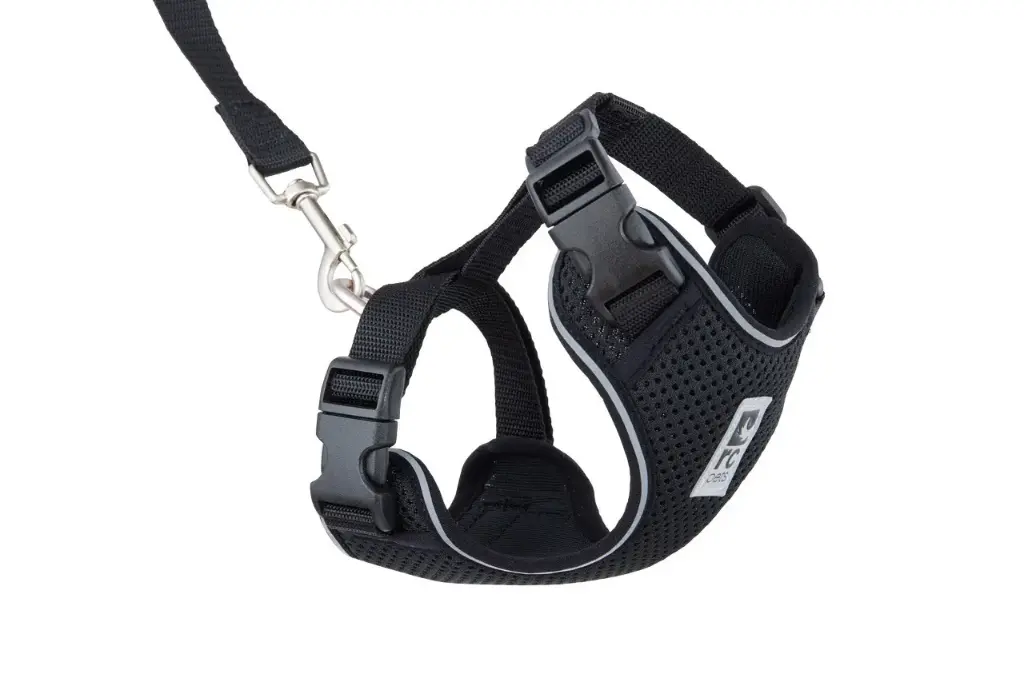 RC Pets Harnais Aventure Pour Chats Noir P