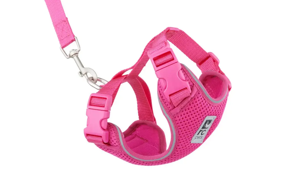 RC Pets Harnais Aventure Pour Chats Framboise P