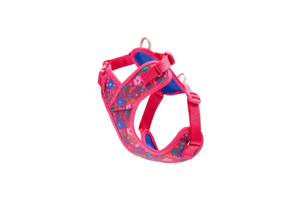 RC Pets Petite Harnais Explorateur Harness PTP Frida