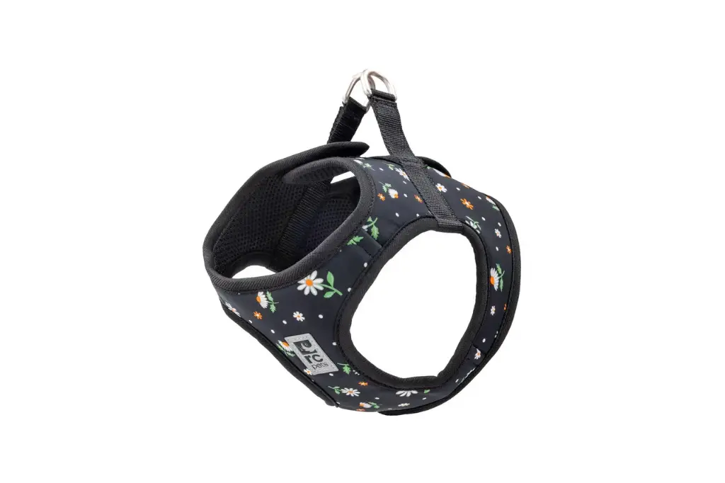 RC Pets Step In Cirque Marguerites TP