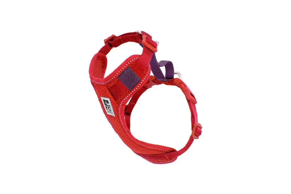 RC Pets Harnais de Contrôle Auto Baie De Goji/Bourgogne P