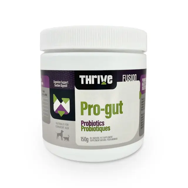 Big Country Raw Thrive Pro-Gut 150g