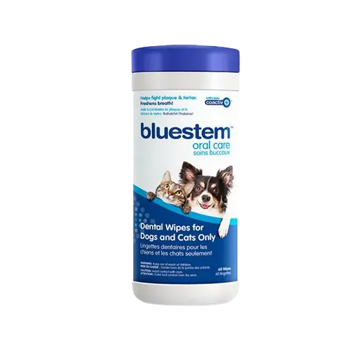 Bluestem Lingettes Dentaires (60 Unités)