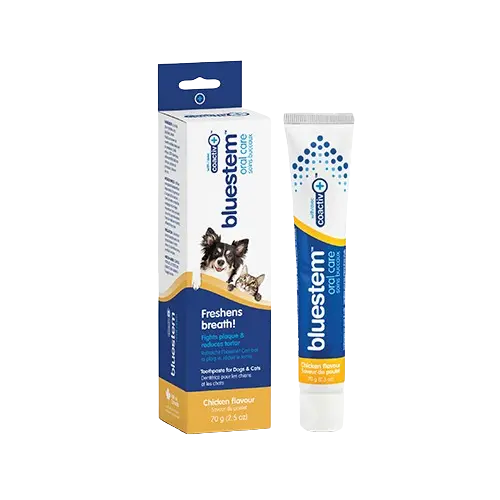 Bluestem Dentifrice à Saveur de Poulet 70g