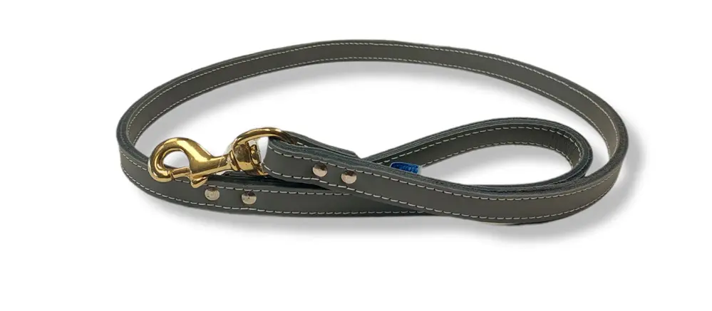 Arizona Laces Double Stitched Leash 1"x48" Black