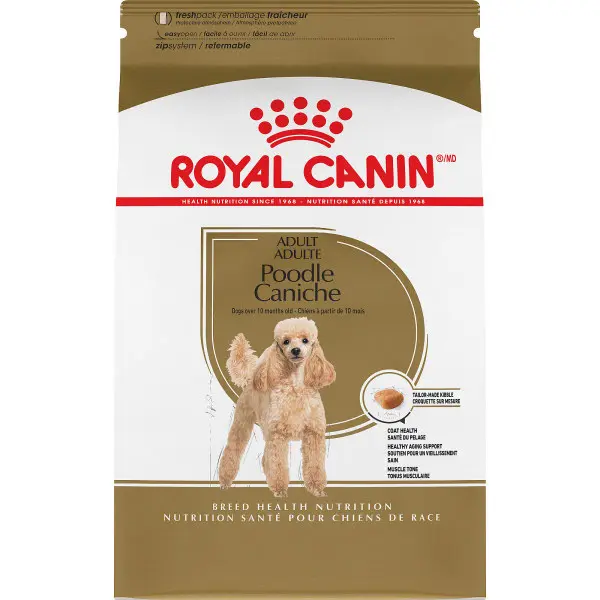 Royal Canin Poodle Perro adulto 10 libras / 4,53 kg