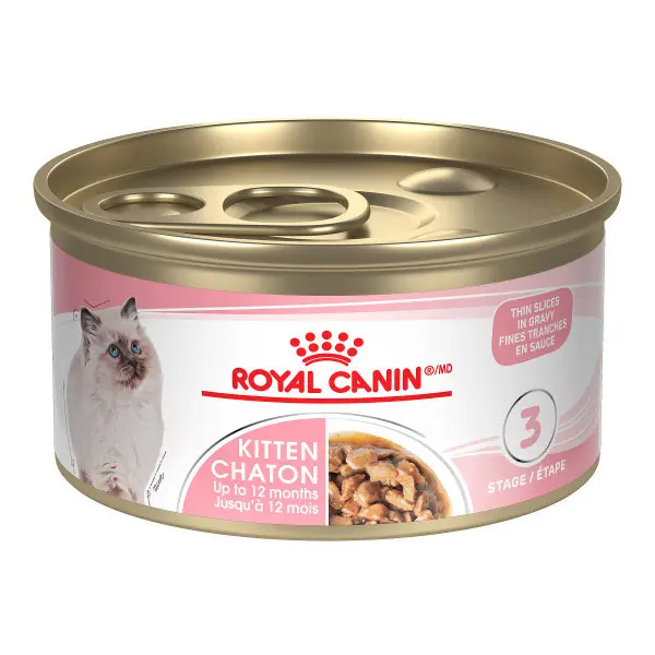 Royal Canin Chaton Tranches 85g