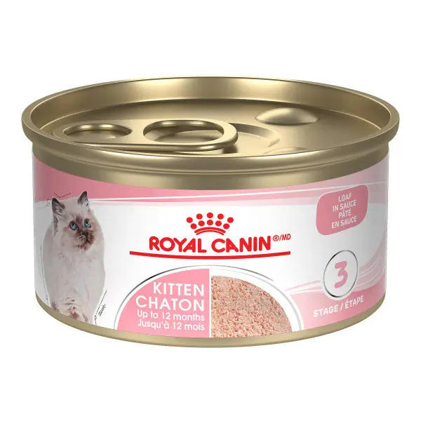 Royal Canin Chaton Pâté 85g