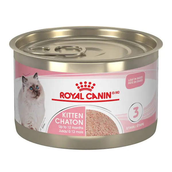 Royal Canin Chaton Pâté 145g