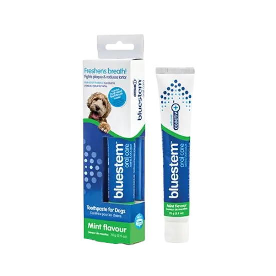 Bluestem Vanilla Mint Flavor Toothpaste For Dogs 70g